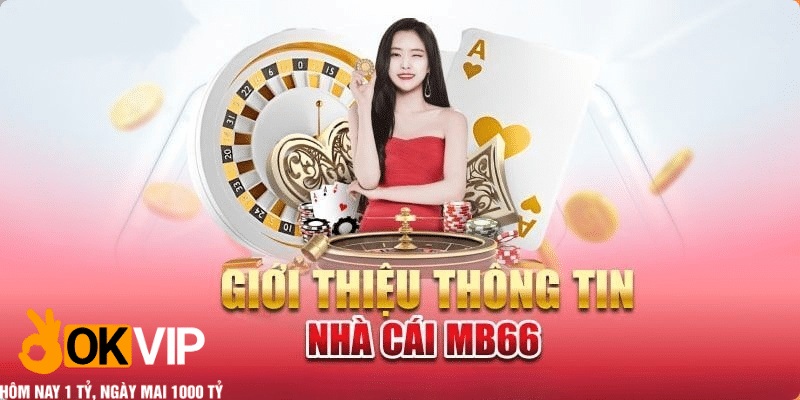 đôi nét về mb66